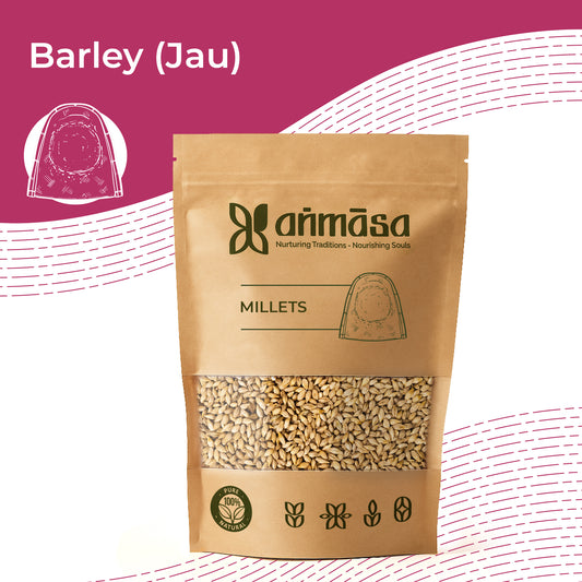 Barley (Jau)
